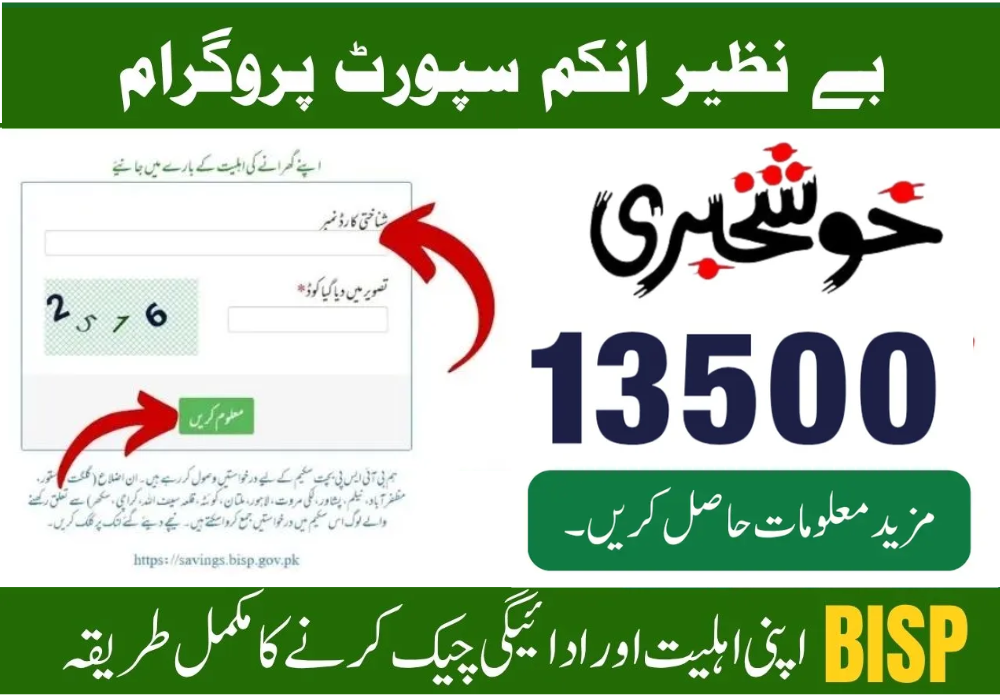 BISP 8171 Payment 2025 — Check Your Payment Online or by SMS Easily